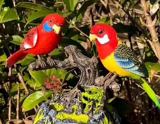 🦜Dekoracja z gadającą papugą