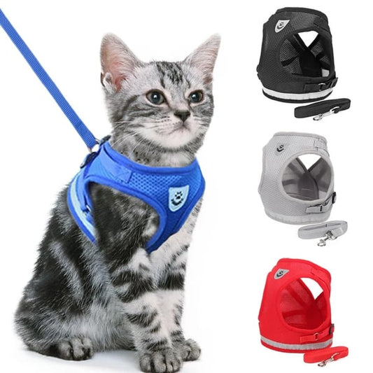 🐶🐱✨Nastavitelný, prodyšný, ve tmě svítící, dokonalý postroj pro kočky