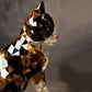 🐱Statuetka kota z żywicy do wystroju domu